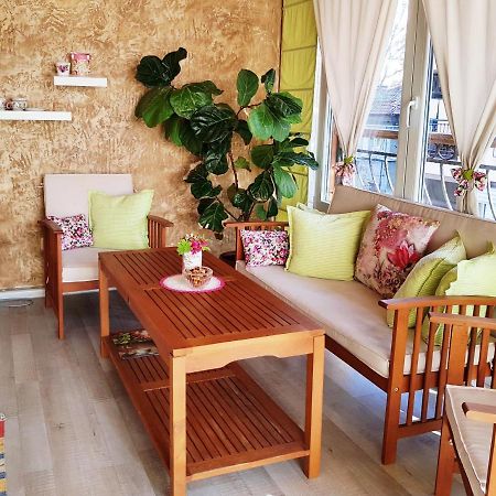 Apartment Nicole بلوفديف المظهر الخارجي الصورة