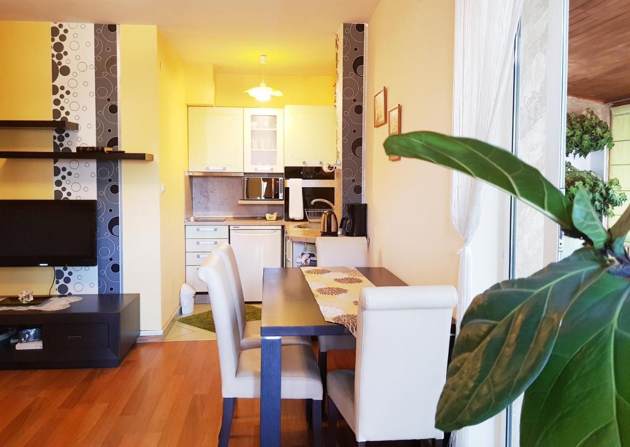 Apartment Nicole بلوفديف المظهر الخارجي الصورة