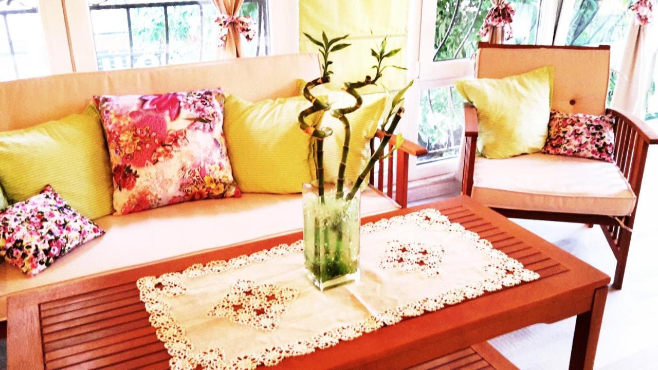 Apartment Nicole بلوفديف المظهر الخارجي الصورة